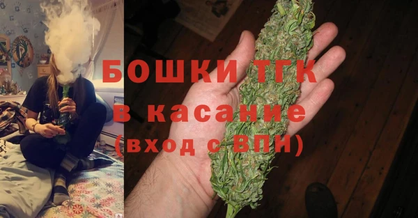 прущие грибы Зеленодольск