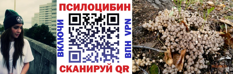 Галлюциногенные грибы Psilocybine cubensis Семилуки